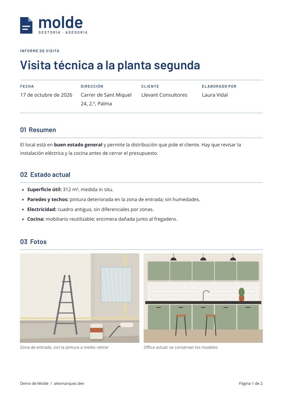 Informe de visita con fotos